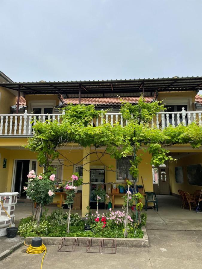 Vila De Lux Bela Crkva  Exterior foto